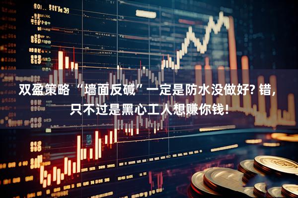 双盈策略 “墙面反碱”一定是防水没做好? 错, 只不过是黑心工人想赚你钱!