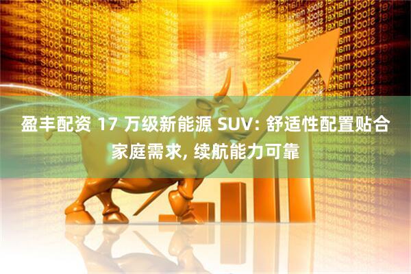 盈丰配资 17 万级新能源 SUV: 舒适性配置贴合家庭需求, 续航能力可靠